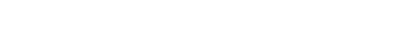 Stereo Microscope Modular System  Head KERN OZL 462