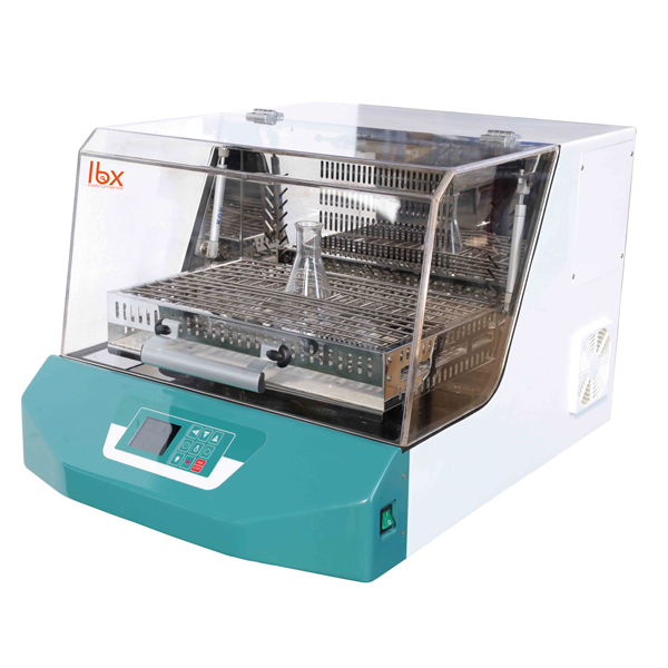 OXGEN DNA molecular weight marker