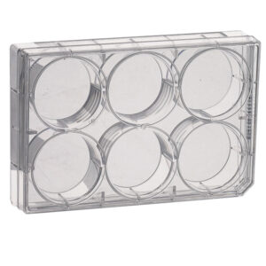Culture multiwell plates, treated, sterile
