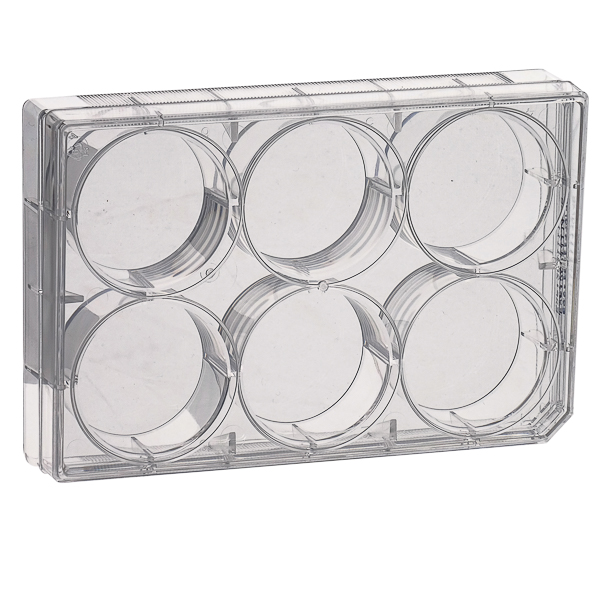 Culture multiwell plates, treated, sterile