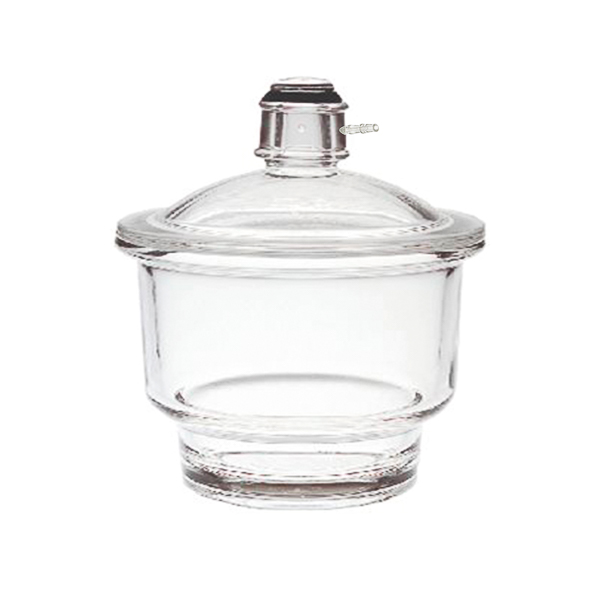 Vacuum type desiccator with lid and lateral hose Premium Line