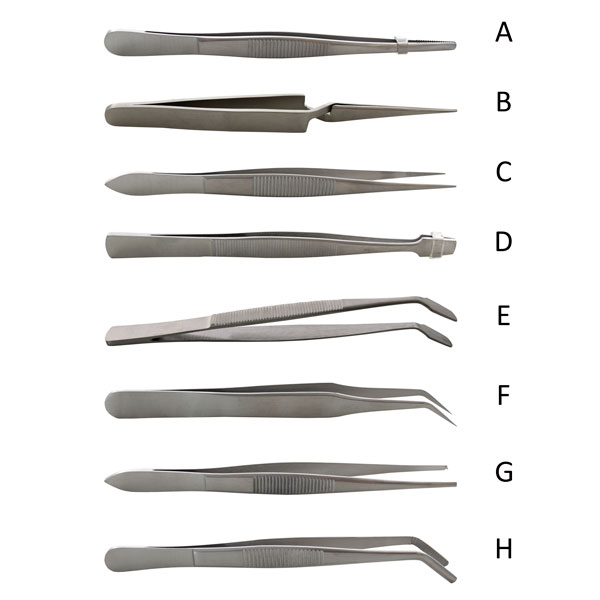 Laboratory forceps