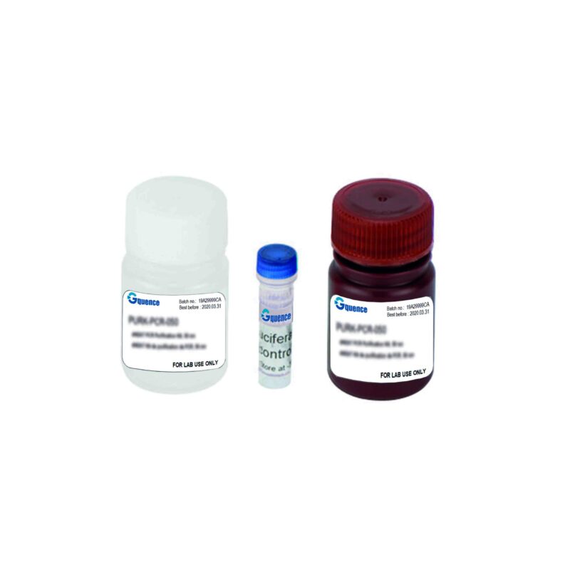 Luciferase Reporter Assay Kit