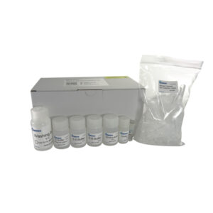 dNEAT Plasmid Purification Kit