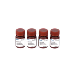 Resazurin Cell Viability Assay