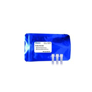 x-VITA Green-Taq Polymerase